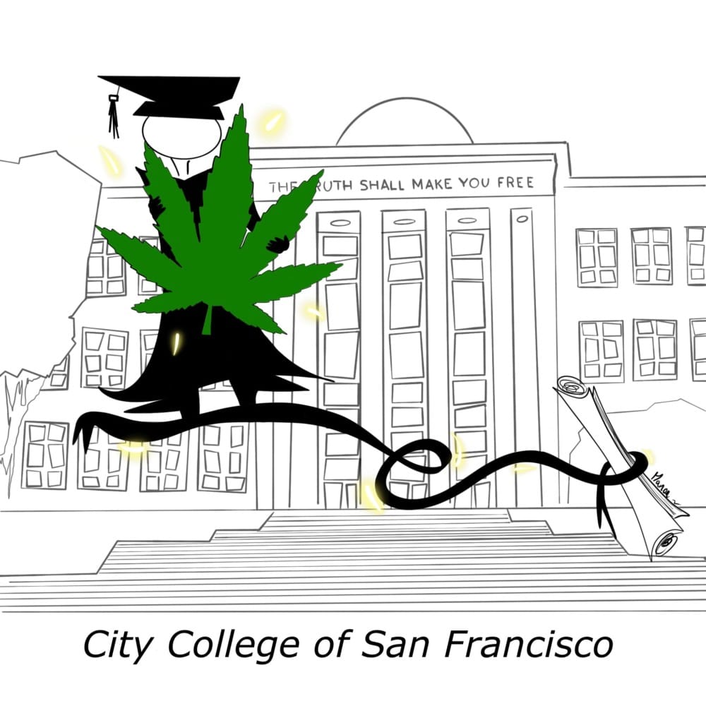 City College Launches Nation’s First Cannabis Studies Associate of Arts Degree