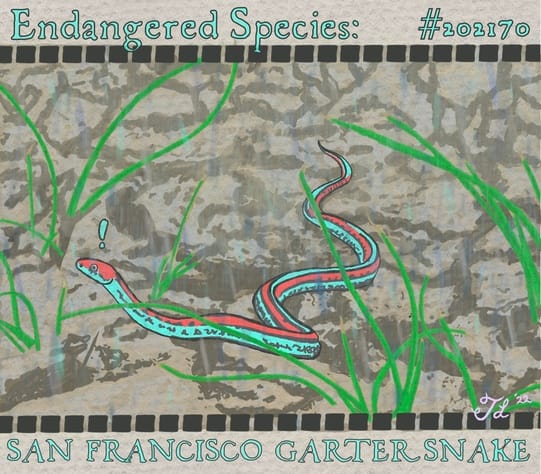 Northern California Sees Late Summer Storm: A Mixed Blessing for Dry Bay Area