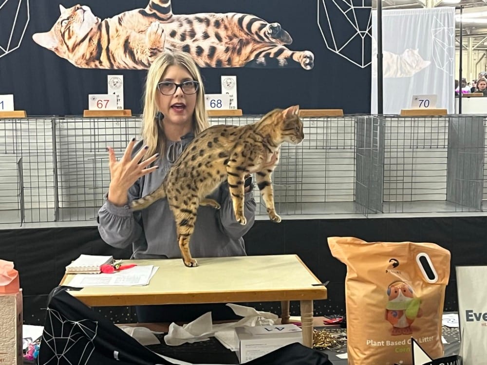 Cat Extravaganza Comes to the Cow Palace