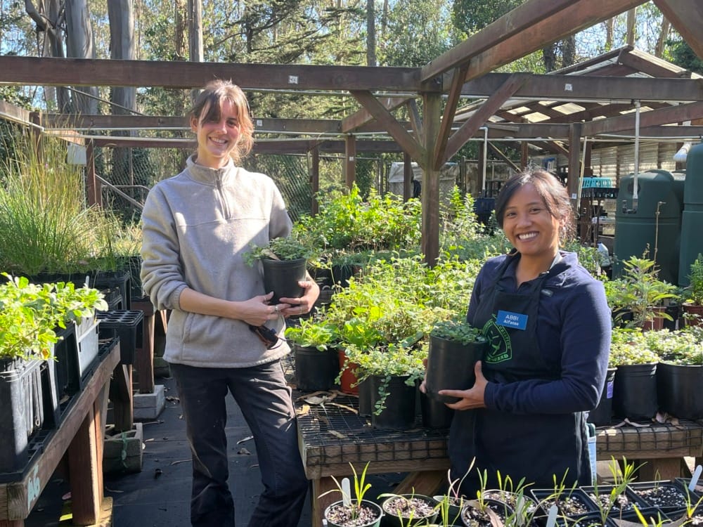 Volunteer in the Great Outdoors at Mount Sutro