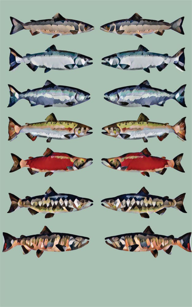 Whistleblower Releases Evidence of Serious Health & Safety Violations