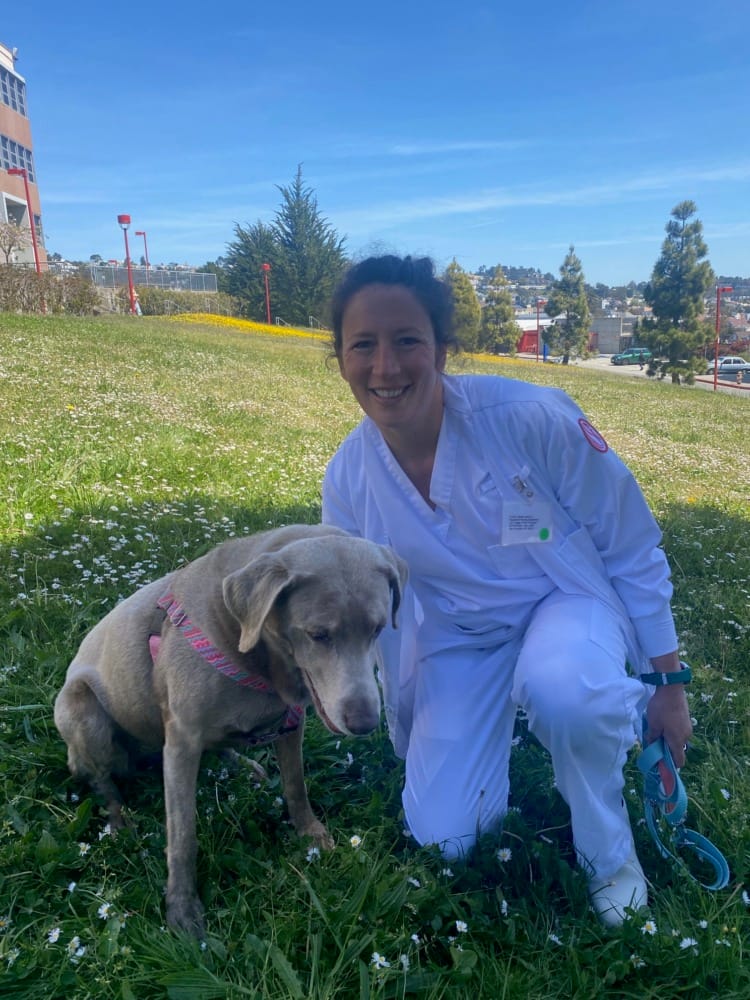 Have Your Say: How do your classes fit into your goals? 