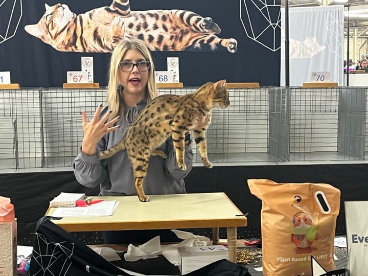Cat Extravaganza Comes to the Cow Palace