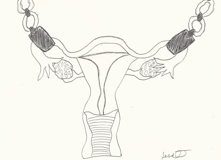 'Trivialized and Demonized,' Women's Resource Center Staffers on the State of Reproductive Rights