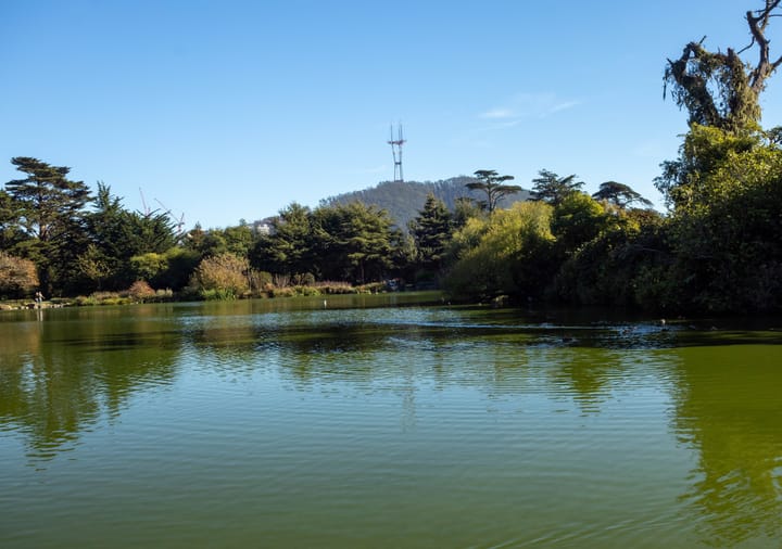 Explore the Lakes of Golden Gate Park