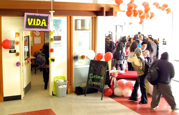 VIDA_Online_Article02