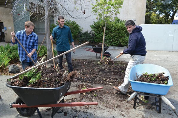 Horticulture_Online_Article01