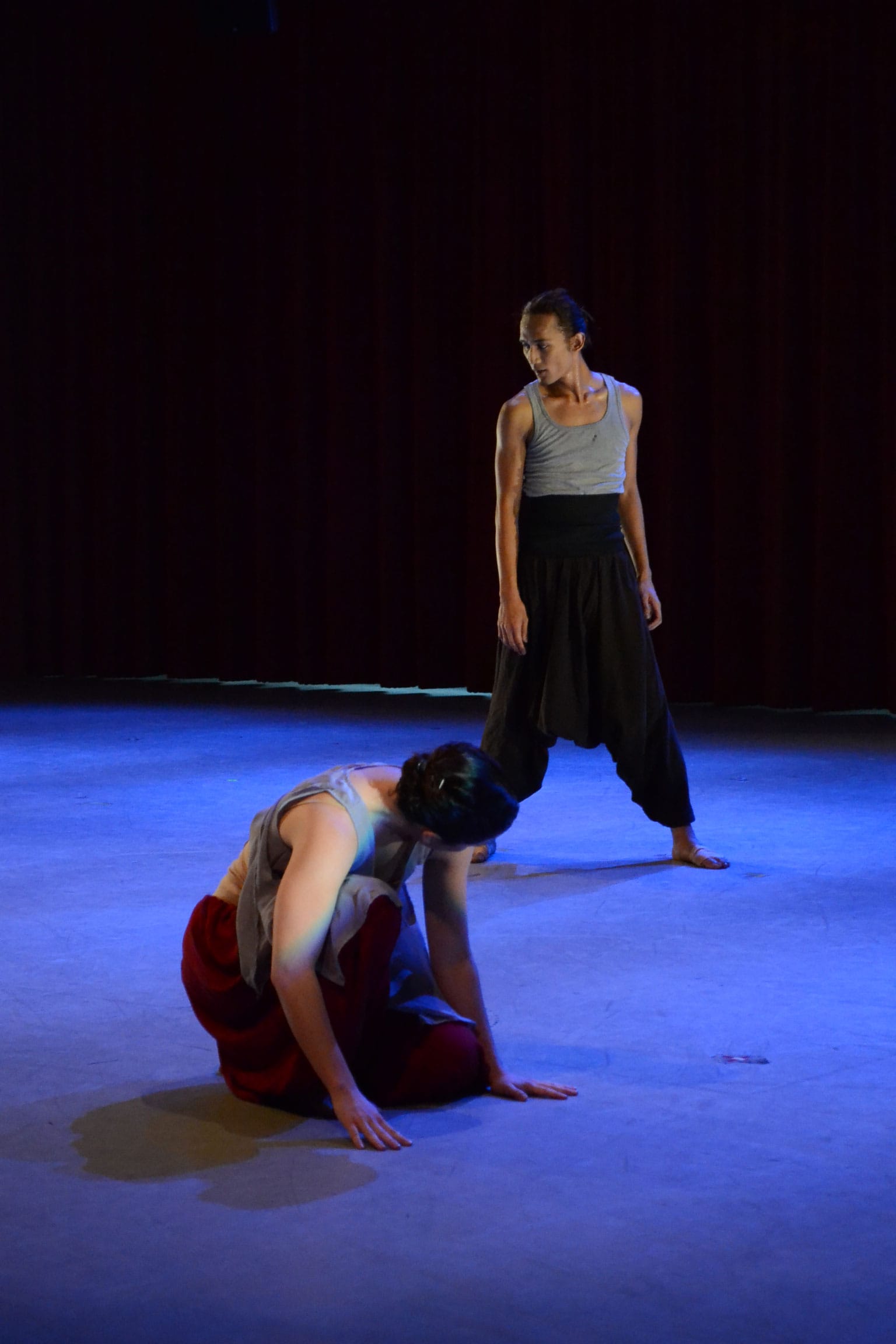 ODC_Maya_02_Bloomberg_web