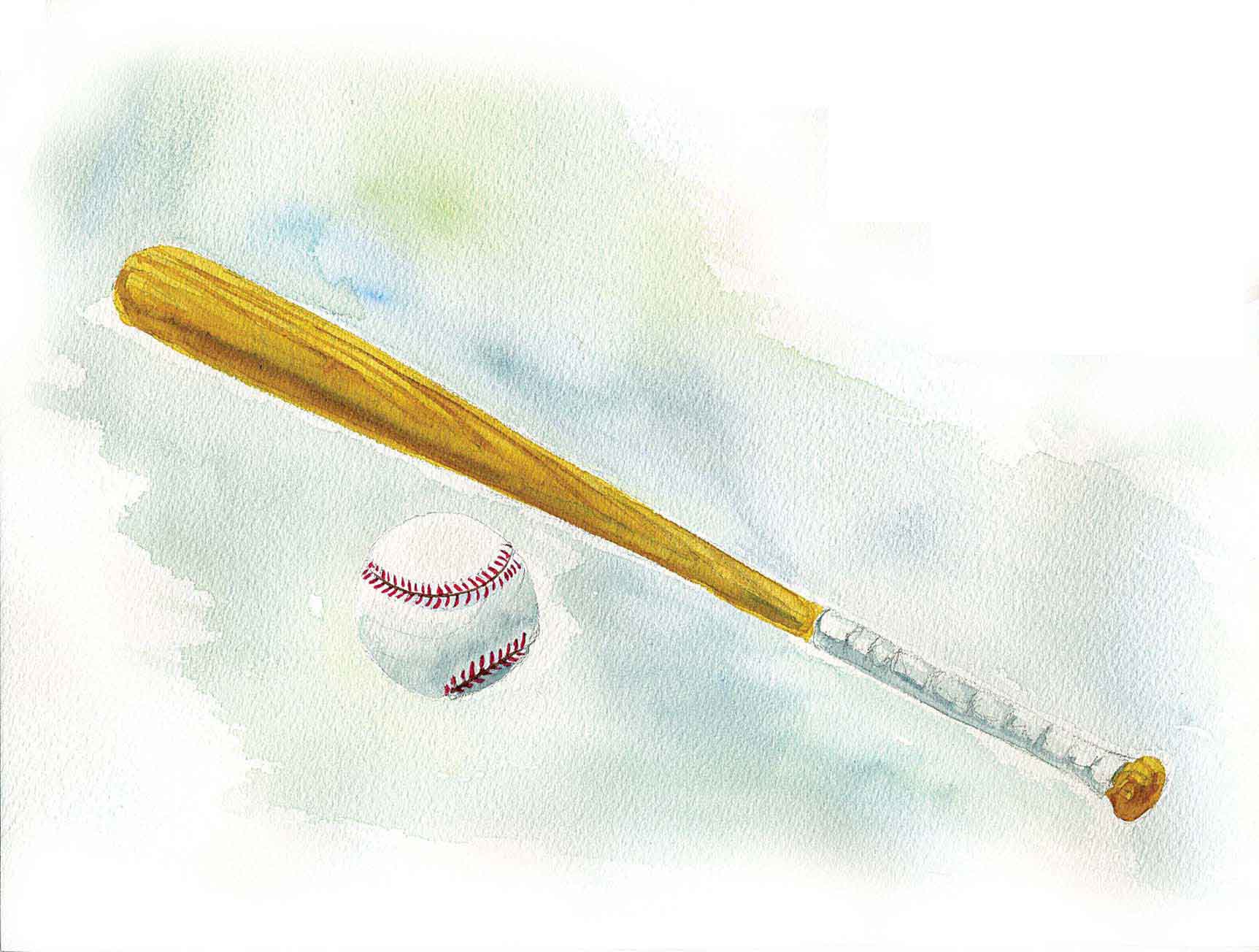 1_Online_baseball-bat