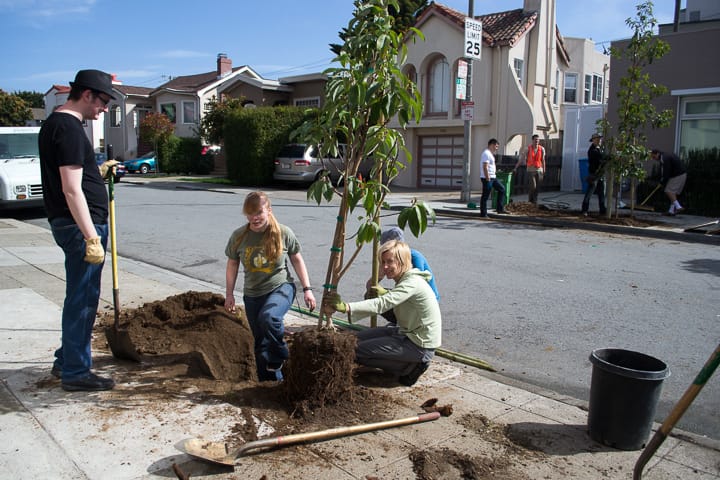 Tree_Planting_Bloomberg_03_OnlineReady