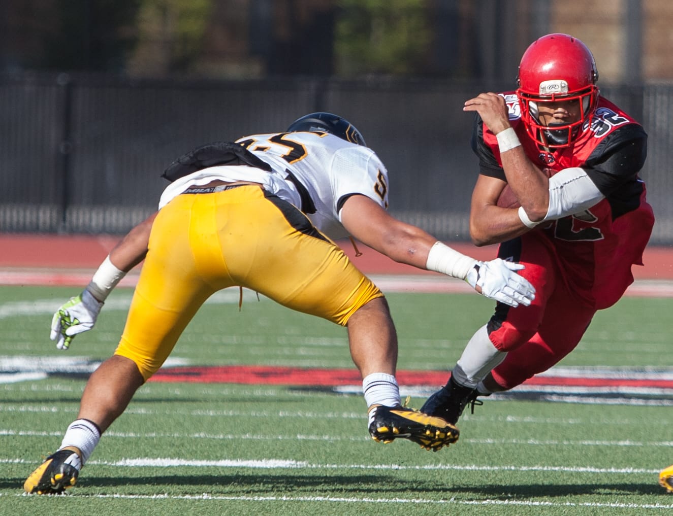 (Photo by Khaled Sayed)