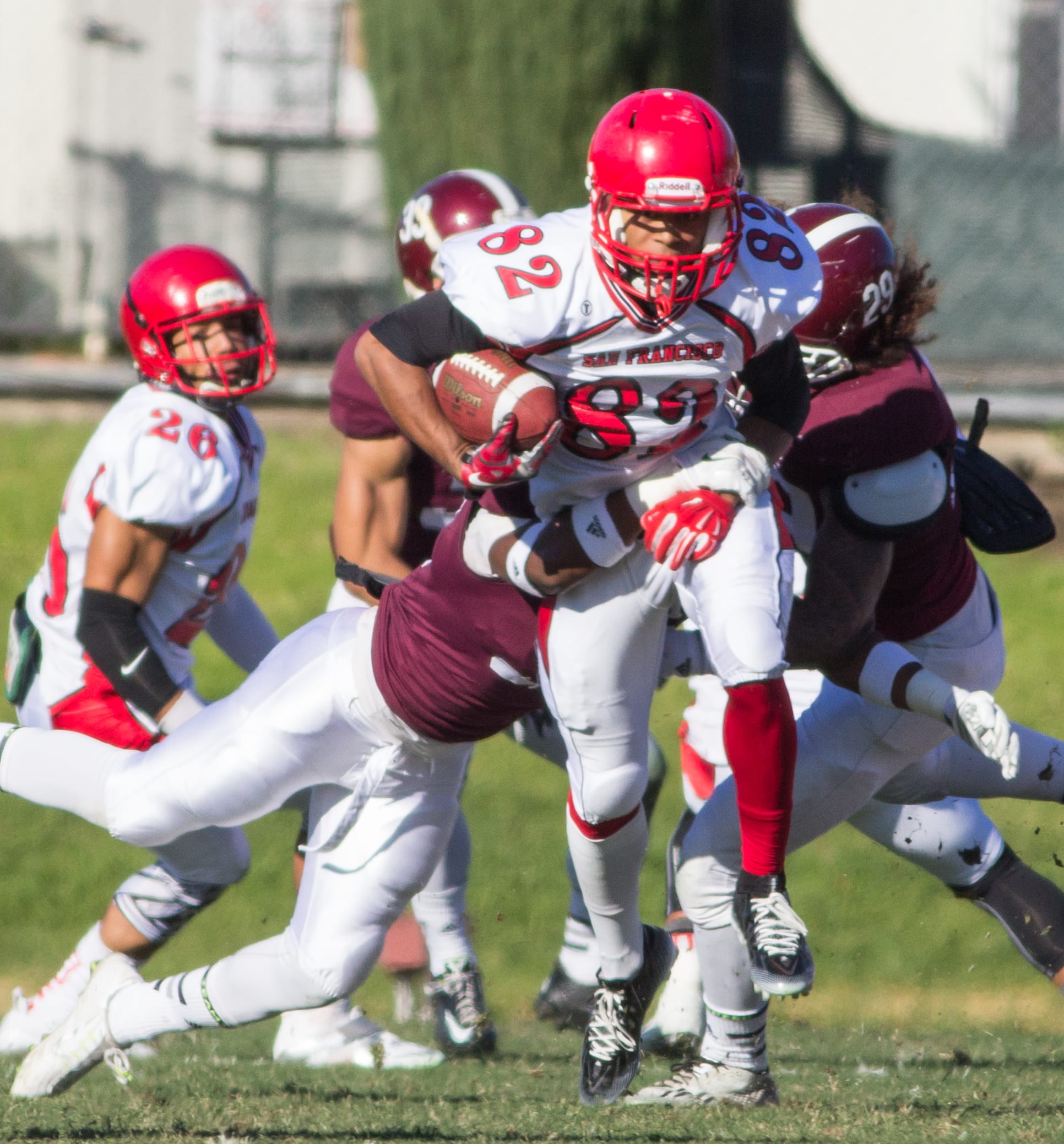 (Photo by Khaled Sayed)