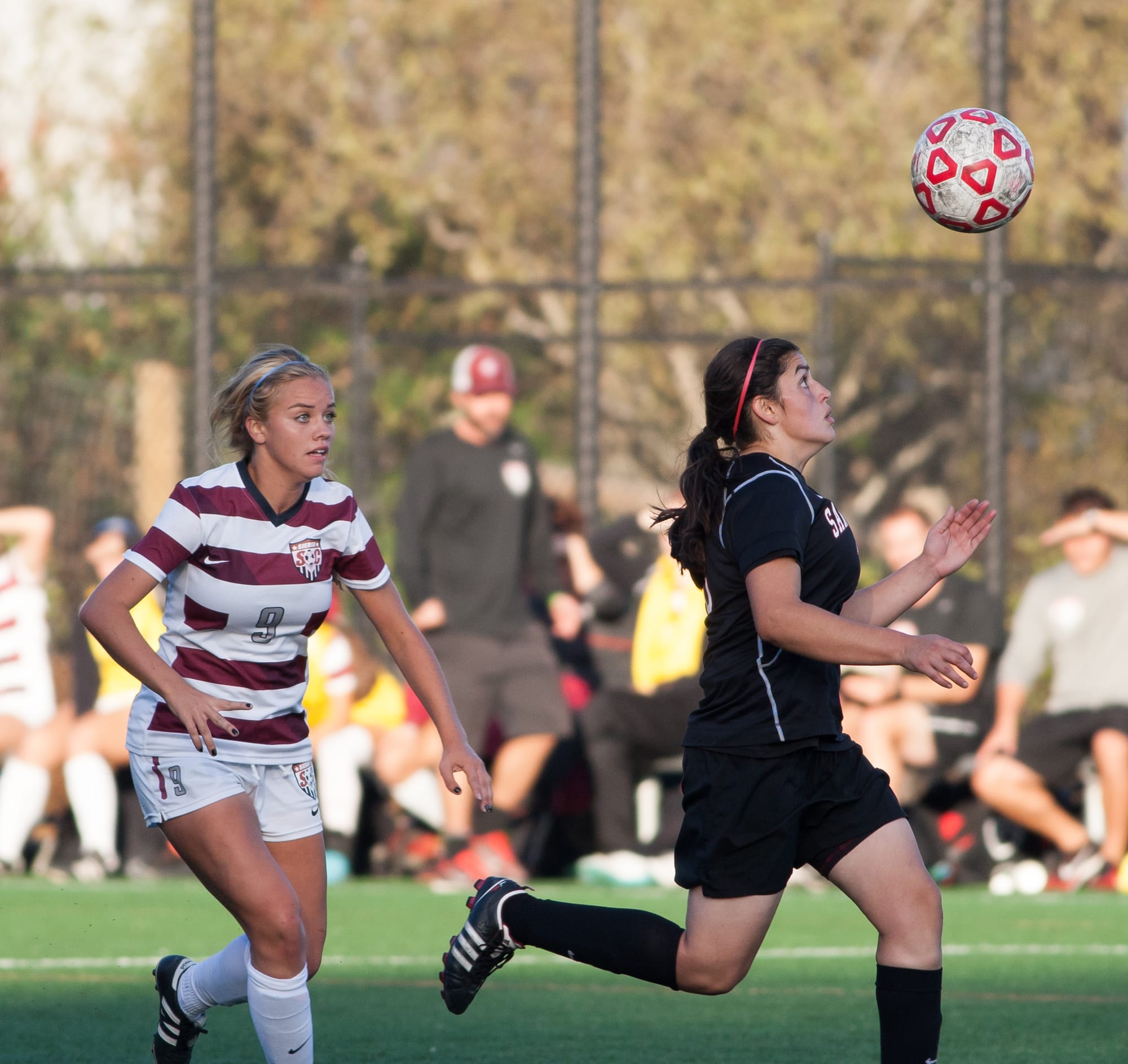 (Photo by Khaled Sayed)