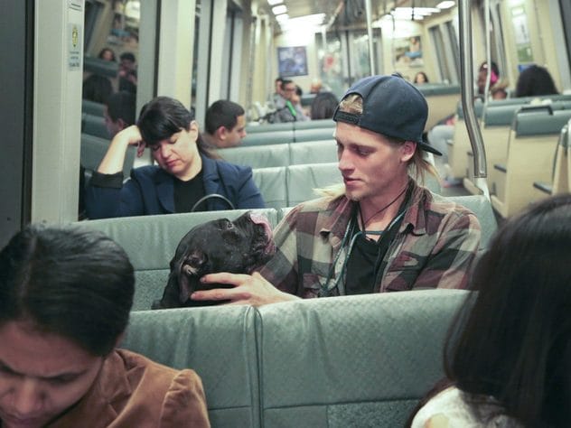 City College student Nick Lindley and his service dog Ziggy commute to the Ocean Campus from the BAART clinic on Turk St. on Tuesday, Feb. 16, 2016. (Photo by Gabriella Angotti-Jones/The Guardsman)