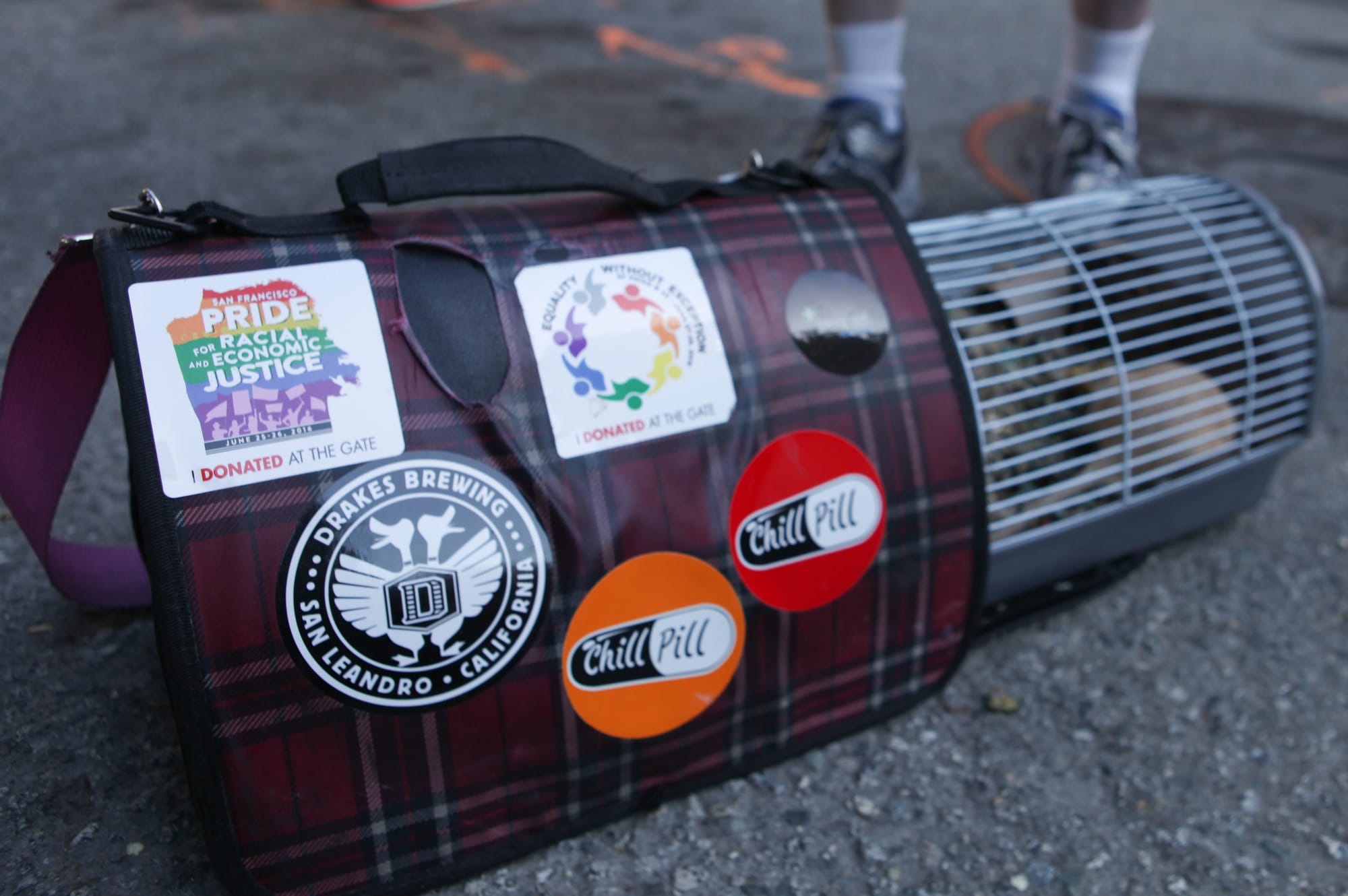 City College student John Gallo and his pet rats carrier decorate for the San Francisco Pride Parade on June 26, 2016. (Photo by Cassie Ordonio/The Guardsman)